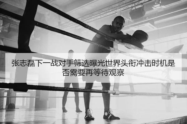 张志磊下一战对手筛选曝光世界头衔冲击时机是否需要再等待观察